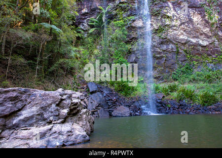 Twin Falls circuito e cascata in Springbrook national park in entroterra della Gold Coast, Queensland, Australia Foto Stock