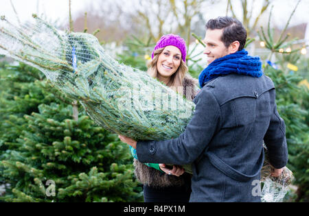 Matura portante comprato albero di Natale Foto Stock