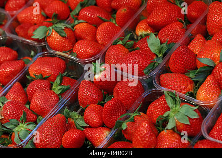 Rosso fresco fragole mature in scatole di plastica Foto Stock