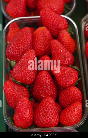 Rosso fresco fragole mature in contenitore di plastica Foto Stock