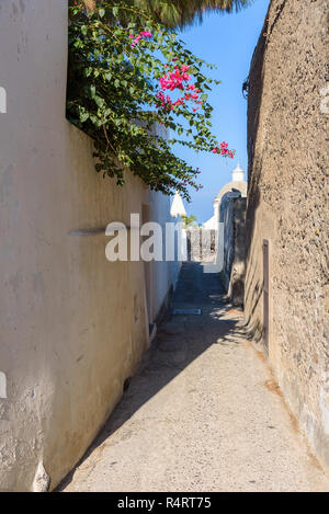 Strada stretta in un villaggio sull'isola di Stromboli, Isole Eolie, Italia Foto Stock