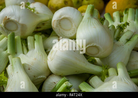 Finocchio fresco al mercato Foto Stock