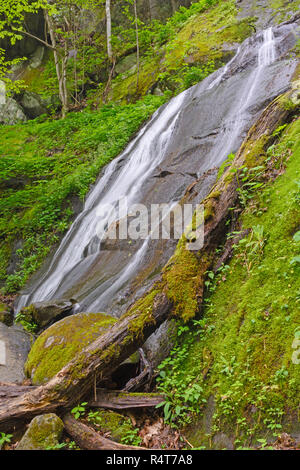 Cascata nascosti nella foresta Foto Stock