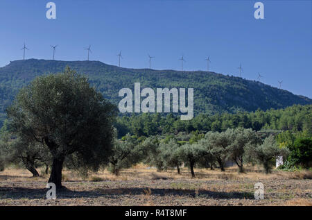 Le turbine eoliche sulla montagna e oliveto sul cielo blu sullo sfondo Foto Stock