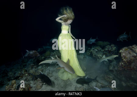 Bella donna in abito giallo in posa subacquei con Bruno di squalo nutrice (Nebrius ferrugineus), Riprese notturne, Oceano Indiano Foto Stock
