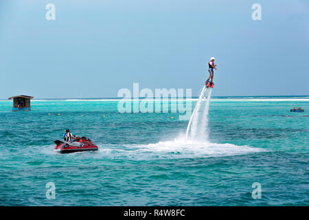 Intrattenimento marino Foto Stock