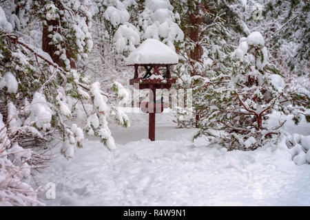 Il pittoresco paesaggio di boschi di conifere vergreen Abete rami ricoperti di neve e legno Bird Feeder, freddo giorno d'inverno. Sfondo naturale Foto Stock