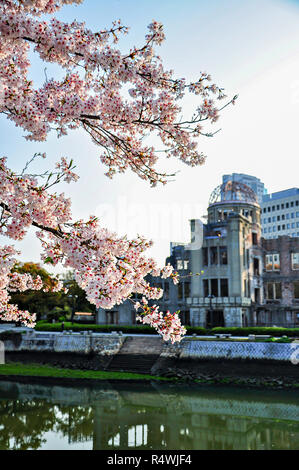 Vista della cupola atomica attraverso la fioritura dei ciliegi a Hiroshima, Giappone Foto Stock