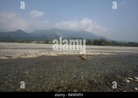 Jayanti sul fiume che scorre attraverso la Buxa Riserva della Tigre di Buxa Parco Nazionale in Jalpaiguri distretto di West Bengal, India Foto Stock