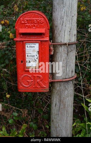 Un vecchio GR solo lettere postbox attaccato ad un palo del telegrafo Foto Stock