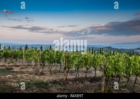 Peccioli, Pisa, Toscana - paesaggio di campagna nella valle di Peccioli in provincia di Pisa, Italia, il trattamento e la cura dei vigneti del vino Foto Stock