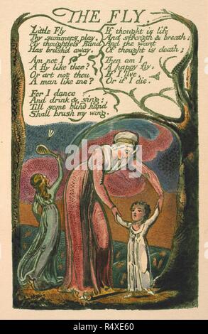 Il fly. Canti di innocenza e di esperienza. H. Young & Figli: Liverpool, 1923. Il fly. Poema illustrato immagine presa da 'SATTAC di innocenza e di esperienza. [Un facsimile di un colore dorato e copia della prima edizione.]." pubblicato da H. Young & Figli: Liverpool, 1923 . Fonte: C.71.d.19, pagina 40. Lingua: Inglese. Autore: Blake, William. Foto Stock