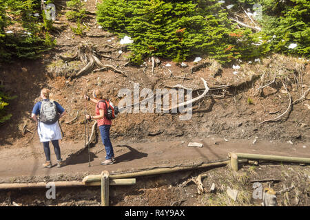 BANFF, AB, Canada - Giugno 2018: due persone hiling lungo una pista sulla Montagna di Zolfo in Banff Foto Stock