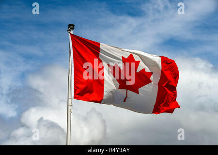 Canadian bandiera nazionale, 'maple Leaf", isolata contro un cielo blu con nuvole bianche Foto Stock