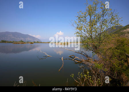 Il Sebino Peat-Bog Riserva Naturale, a sud del Lago d'Iseo, in provincia di Brescia, Italia Foto Stock
