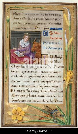 San Luca scrive il suo Vangelo. Libro d Ore. Francia [Parigi]; circa 1500. [Intero folio] Vangelo letture. San Luca, 1, 26-28. San Luca seduto a scrivere il suo Vangelo, con il suo simbolo, il toro. Confine con trompe l'oeil compresi narcisi e una libellula. Immagine presa dal Libro delle ore. Originariamente pubblicato/prodotto in Francia [Parigi]; 1515 - 1520. . Fonte: Aggiungi. 35214, f.15. Lingue: Latina. Foto Stock