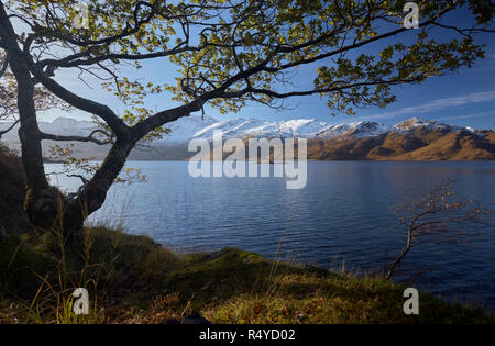 Paesaggio scozzese con vista Ladhar Bheinn e Loch Hourn Foto Stock