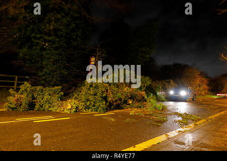 Leeds, West Yorkshire, Regno Unito. Il 28 novembre 2018. Regno Unito: Meteo venti di tempesta Diana sfonda dall'albero. Un albero caduto ha atterrato e bloccato su una strada trafficata in grande Preston, tra Leeds & Castleford. Equipaggi di manutenzione sono stati rapidi sulla scena su Leeds Road ed una corsia è stato aperto sotto la supervisione di un funzionario di polizia mentre i resti della struttura è stato rimosso. Credito: Yorkshire Pics/Alamy Live News Foto Stock