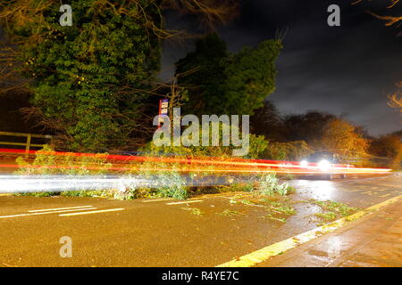 Leeds, West Yorkshire, Regno Unito. Il 28 novembre 2018. Regno Unito: Meteo venti di tempesta Diana sfonda dall'albero. Un albero caduto ha atterrato e bloccato su una strada trafficata in grande Preston, tra Leeds & Castleford. Equipaggi di manutenzione sono stati rapidi sulla scena su Leeds Road ed una corsia è stato aperto sotto la supervisione di un funzionario di polizia mentre i resti della struttura è stato rimosso. Credito: Yorkshire Pics/Alamy Live News Foto Stock