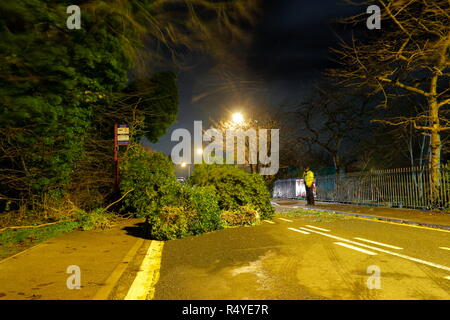 Leeds, West Yorkshire, Regno Unito. Il 28 novembre 2018. Regno Unito: Meteo venti di tempesta Diana sfonda dall'albero. Un albero caduto ha atterrato e bloccato su una strada trafficata in grande Preston, tra Leeds & Castleford. Equipaggi di manutenzione sono stati rapidi sulla scena su Leeds Road ed una corsia è stato aperto sotto la supervisione di un funzionario di polizia mentre i resti della struttura è stato rimosso. Credito: Yorkshire Pics/Alamy Live News Foto Stock