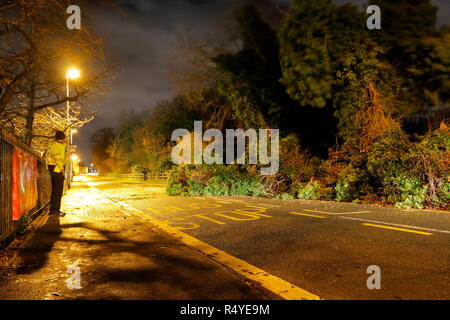 Leeds, West Yorkshire, Regno Unito. Il 28 novembre 2018. Regno Unito: Meteo venti di tempesta Diana sfonda dall'albero. Un albero caduto ha atterrato e bloccato su una strada trafficata in grande Preston, tra Leeds & Castleford. Equipaggi di manutenzione sono stati rapidi sulla scena su Leeds Road ed una corsia è stato aperto sotto la supervisione di un funzionario di polizia mentre i resti della struttura è stato rimosso. Credito: Yorkshire Pics/Alamy Live News Foto Stock