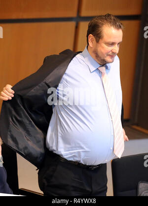 29 novembre 2018, Berlin: Andreas Wild (AFD), factionless, si toglie la sua giacca durante il tempo delle interrogazioni nella Casa dei Rappresentanti, sul cui bavero egli indossava un blu fiordaliso. Il presidente del Parlamento ha chiesto al vice diverse volte per rimuovere il fiore. Dal 1933 al 1938, il fiordaliso è stato un segno distintivo in Austria del socialismo nazionale che erano vietati al momento. Foto: Wolfgang Kumm/dpa Foto Stock