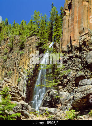 Palizzata cade debordi basalto colonnare in oriente forcella hyalite bacino del torrente vicino a Bozeman, Montana Foto Stock