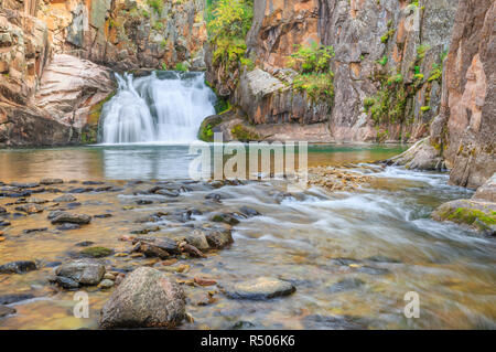 Cascata lungo tenderfoot creek nel piccolo belt le montagne vicino al bianco delle molle di zolfo, montana Foto Stock