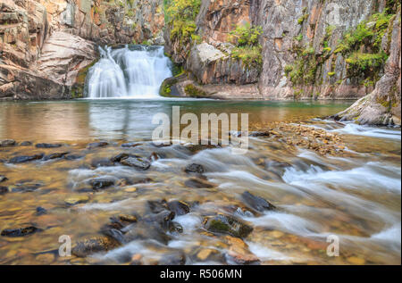 Cascata lungo tenderfoot creek nel piccolo belt le montagne vicino al bianco delle molle di zolfo, montana Foto Stock