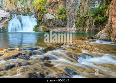 Cascata lungo tenderfoot creek nel piccolo belt le montagne vicino al bianco delle molle di zolfo, montana Foto Stock