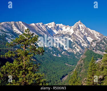 Trapper picco nella Bitterroot Mountains vicino conner, montana Foto Stock