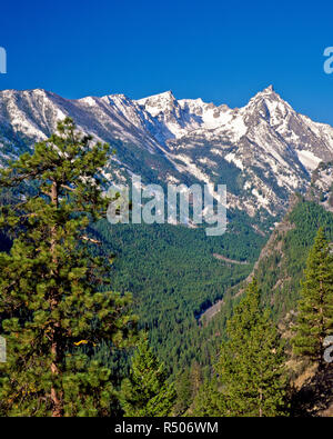 Trapper picco nella Bitterroot Mountains vicino conner, montana Foto Stock