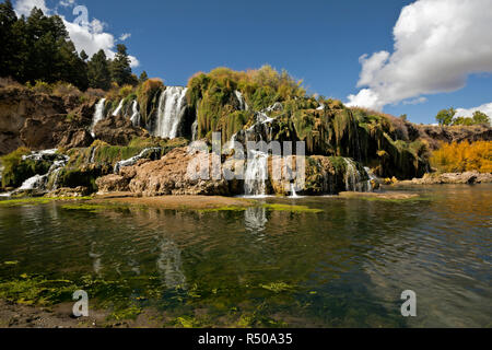 ID00754-00...- Idaho Falls Creek discesa su un pendio terrazzato a Snake River a Falls Creek Falls in Swan Valley. Foto Stock