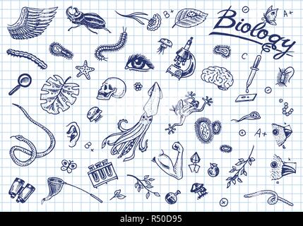 Laboratorio Scientifico in biologia. Il set di icone di ricerca biochimica. Le creature viventi organismi molecole. Medicina a scuola. Educazione e scienza. incisi disegnati a mano nel vecchio sketch in stile vintage. Illustrazione Vettoriale