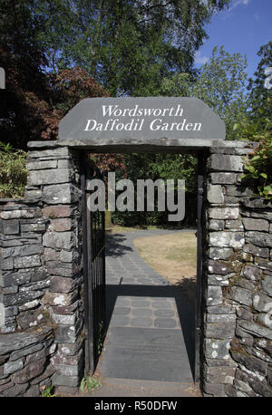 Wordsworth daffodil garden Grasmere Cumbria Foto Stock