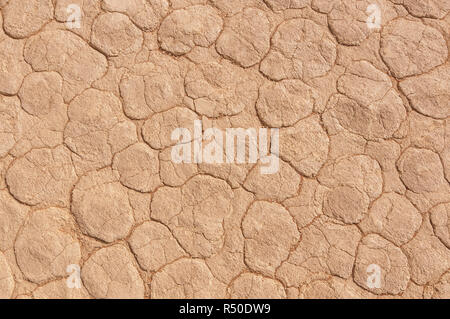 Terra arida in Deadvlei, argilla pan, Sossusvlei, Namibia Foto Stock