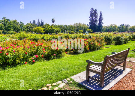 Il paesaggio nel municipale Giardino di Rose, San Jose, South San Francisco Bay Area, California Foto Stock