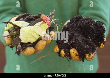 Prima e dopo il compost. Compost realizzato con rifiuti di orto e cucina con materiali di cartone (L) decomposto in un ricco integratore di terreno fatto in casa (R). Foto Stock