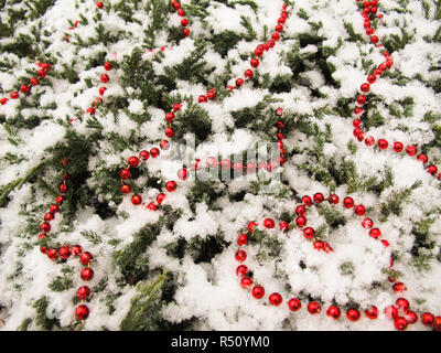 La texture di conifera molti rami di alberi coperti di neve e perle di rosso. Cuore del tallone nell'angolo. Sfondo per Natale e Capodanno, San Valentino, da Foto Stock