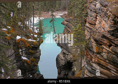 Sunwapta Falls, Jasper National Park sul Fiume Sunwapta lungo la famosa Icefields Parkway. Foto Stock