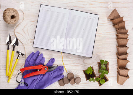Utensili da giardinaggio e piantine. Foto Stock
