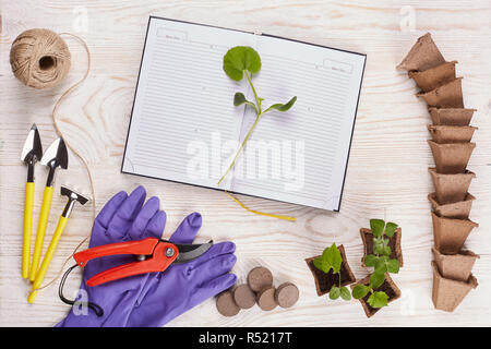 Utensili da giardinaggio e piantine. Foto Stock