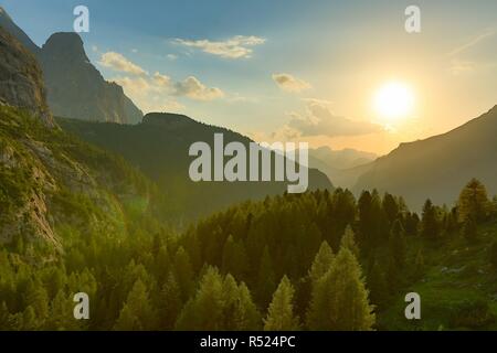 Alpine Falre al tramonto Foto Stock