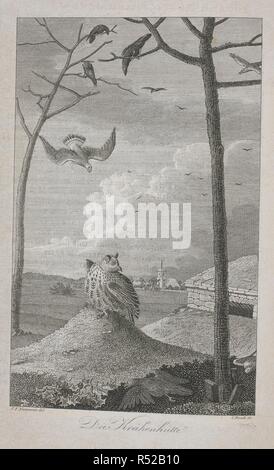 Vari uccelli di volare intorno e un gufo sul terreno. J. A. Naumann ... Naturgeschichte der VoÌˆgel Deutschlands, nach eigenen Erfahrungen entworfen. Durchaus umgearbeitet, ... sehr vermehrt ... und ... aufs Neue herausgegeben von ... J. F. Naumann. (Fortsetzung der NachtraÌˆge, ZusaÌˆtze und Verbesserungen von Dr. J. H. Blasius, il Dott. E. Baldamus und Dott F. Sturm.) [Con le piastre colorate.]. Leipzig ; Stuttgart, 1822-60. Fonte: 1257.h.1-13, vol.IV frontespizio. Lingua: tedesco. Autore: Naumann, Johann Andreas. Foto Stock