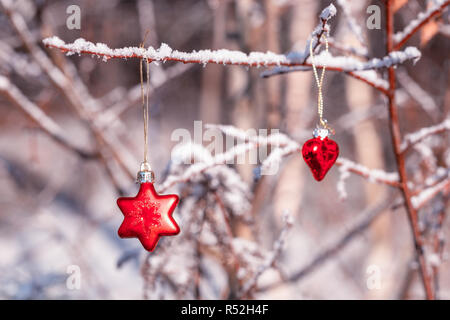 Natale stella rossa e cuore su ramoscelli e frost-coperto ciuffi nella foresta Foto Stock