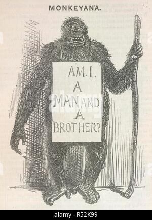 Monkeyana. Il punzone o la London Charivari. Londra, 1861. Illustrazione raffigurante una scimmia che indossa una targhetta recante la dicitura: "Io sono un uomo o fratello". Un riferimento alla teoria dell'evoluzione. Immagine presa dal punzone o della London Charivari. Originariamente pubblicato/prodotto in London, 1861. . Fonte: P.P.5270.ah, 206. Lingua: Inglese. Foto Stock