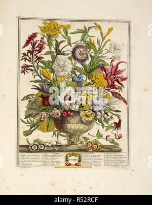 Varie specie di fiori (settembre). Dodici mesi di fiori (in 13 piastre comprendono t. Londra, 1730. Fonte: 10.tab.45, la piastra 10. Autore: Furber, Robert. Fletcher. Foto Stock