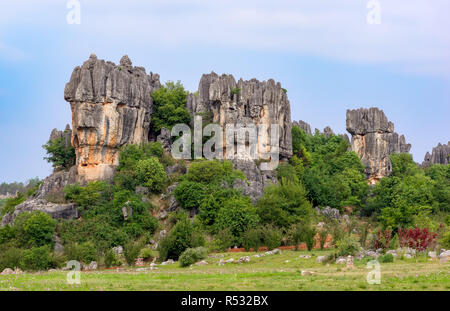 Shilin Foresta di Pietra - Provincia di Yunnan - Cina Foto Stock