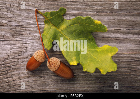 Foglie di quercia con ghiande sulla tavola di legno, vista dall'alto Foto Stock
