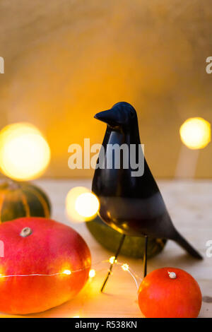 Sfondo di Halloween con black bird e zucche Foto Stock